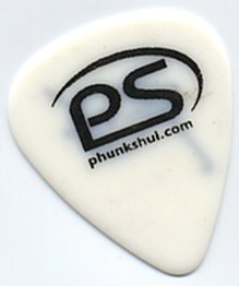 Phunk-Shui_guitarclip2.jpg (8096 Byte)